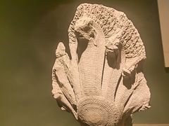 -吴哥国家博物馆