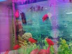 -雅悦齿科(顾村公园店)