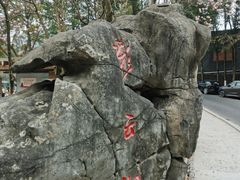 -重庆彩云湖湿地公园
