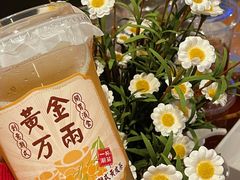 -一杯潮茶·专注潮汕茶饮(朝阳庄店)