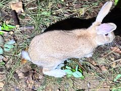 -杭州半山国家森林公园