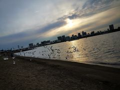 -台场海滨公园船码头