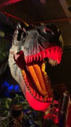 点击看大图 -恐龙探索乐园(磁器口店)