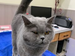 -佑安动物医院·全科·内窥镜中心(幸福巷店)