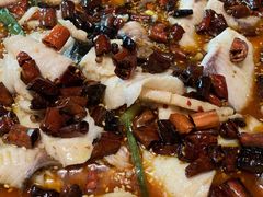 -蜀都丰 正宗水煮鱼(建德天城店)