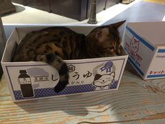 -小时光咖啡馆(开森度假森林店)