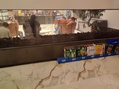 -映像威海·海鲜味道(经区店)