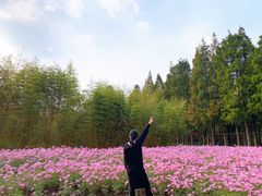 -歌斐颂巧克力小镇