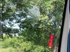 -惠州金海湾嘉华度假酒店