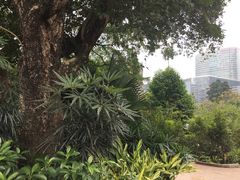 -九龙公园