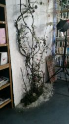 -HG美发设计沙龙