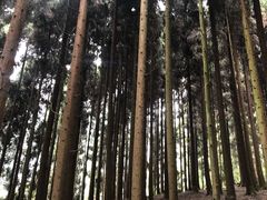 -太阳湾风景区