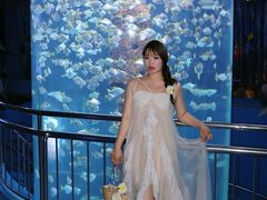 -厦门海底世界