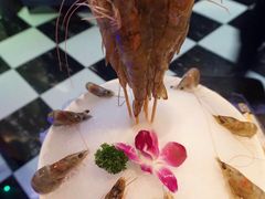 -麦霸KTV(光谷店)