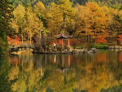 -四明山国家森林公园