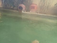 -仁爱团泊湖温泉中心