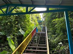 -七仙岭温泉国家森林公园