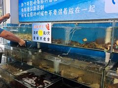 -仙螺岛海鲜自助餐厅(总店)