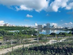 -麗枫酒店(深圳机场福永地铁站店)