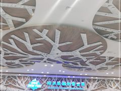 -哈尔滨热雪奇迹