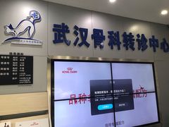 -伟伟宠物医院·CT影像中心·瑞派犬猫综合性门诊(汉口总院)