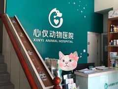 -心仪动物医院·牙专科·肿瘤·心脏科(西客站院)