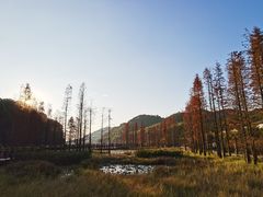 -广州市石门国家森林公园