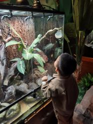 -酷嗒动物文化乐园(cutezoo西溪乐天城店)