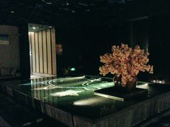 -见康道莱•足浴按摩•艾灸•SPA(友谊店)