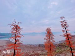 -天目湖山水园