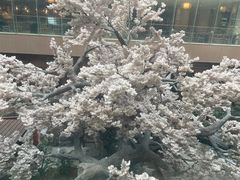 -嘉悦汗蒸时代(曙光路店)