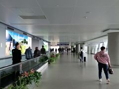 -温州龙湾国际机场
