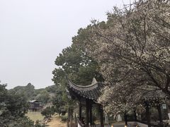 -宝岩生态观光园