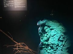 -深圳珠宝博物馆