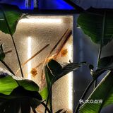🐈戴家巷新店丨具有神秘埃及风情的饮品店🍹