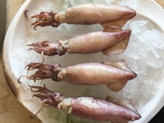 梧桐花-川竹火锅(龙凤店)