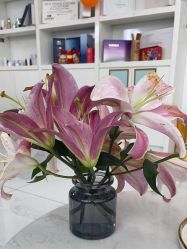 -瓷肌博士·祛痘科技美肤