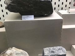 -青藏高原自然博物馆