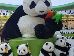 -秦皇岛野生动物园