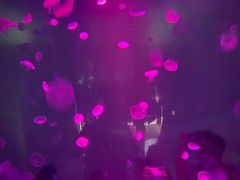 -江和美海洋公园