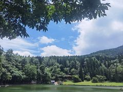 -武陵山森林公园