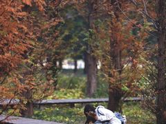 -国家植物园南园