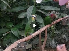 -南宫五洲植物乐园