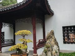 -上海醉白池公园