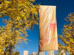 -永定河休闲森林公园