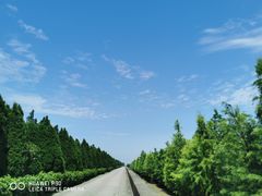 -碧海金沙