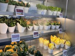 -海底捞大排档火锅(打浦路店)