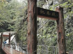 -牛背梁国家森林公园
