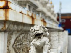 -大召无量寺