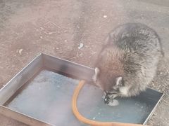-秦皇岛野生动物园